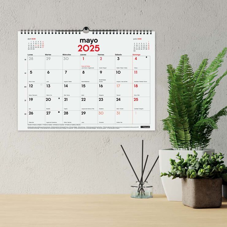 Calendario pared 16 meses Finocam 34x24cm cas 24-25