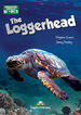 The loggerhead