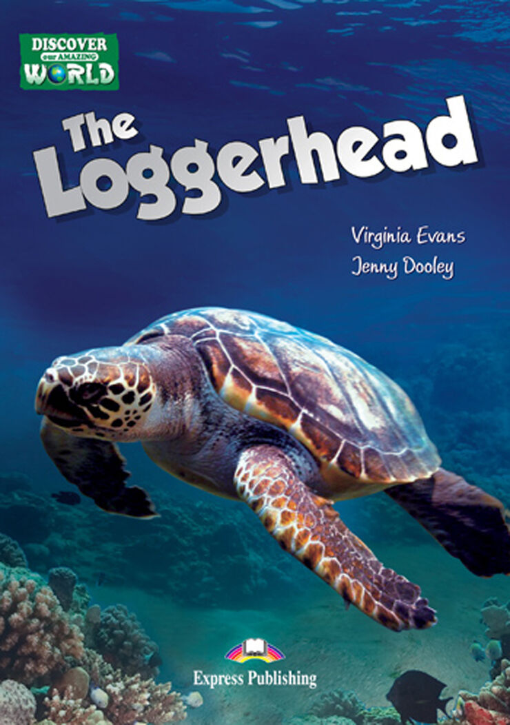 The loggerhead