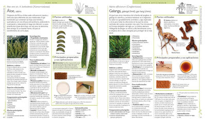 Enciclopedia de plantas medicinales