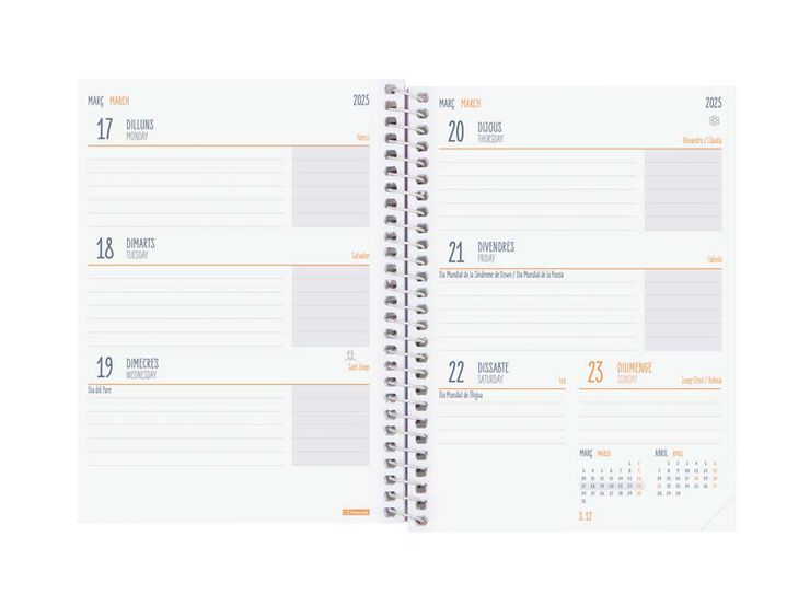 Agenda escolar Finocam Cool 1/8 sem/vista cat 24-25 Lila