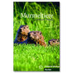 Murmeltiere