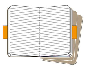 Pack 3 Llibretes Moleskine L kraft ratlla