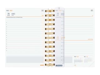 Agenda escolar Finocam Mini 1/8 dia/pàg cas 24-25 Pantera