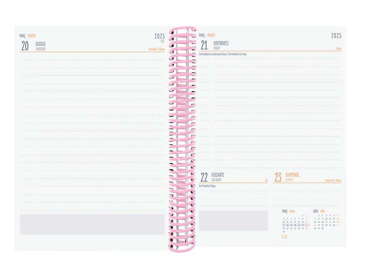 Agenda escolar Finocam Diva 1/4 día/pág cat 24-25 Stars