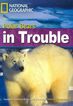 Polar Bears in Trouble. 22