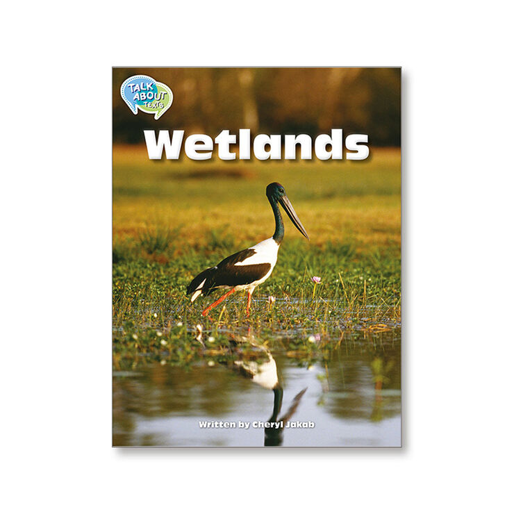 TA L24 WETLANDS Macmillan 9781420241204