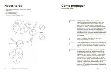 Propagación de plantas de interior. Trucos y consejos para replantar