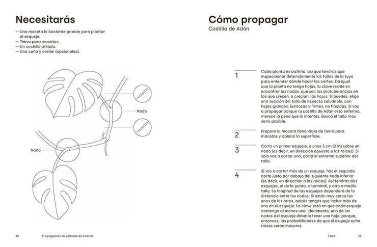 Propagación de plantas de interior. Trucos y consejos para replantar