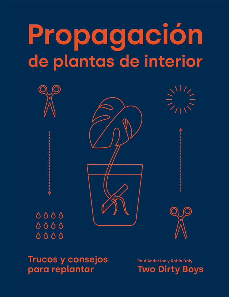 Propagación de plantas de interior. Trucos y consejos para replantar