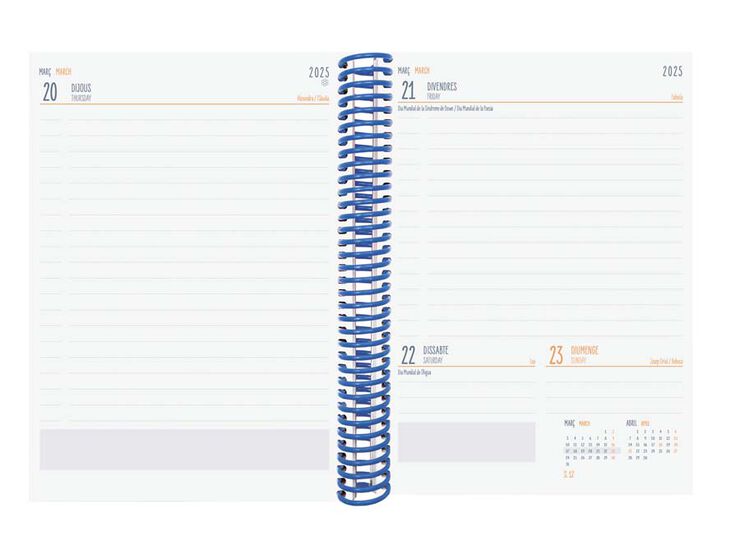 Agenda escolar Finocam Diva 1/4 dia/pàg cat 24-25 negre