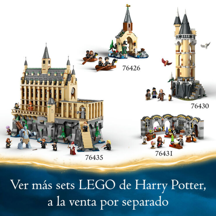 LEGO® Harry Potter Aragog en el Bosc Prohibit 76434