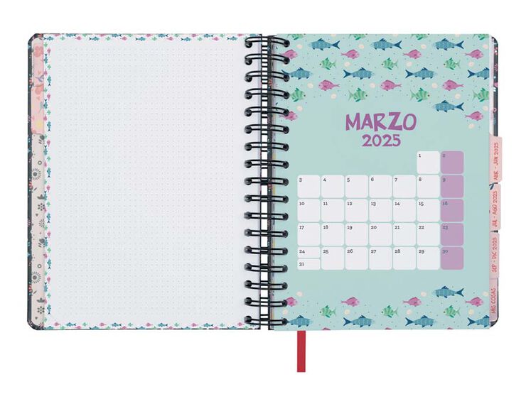 Agenda Finocam 16M Vitae 1/4 sem/vista cas 24-25 negro