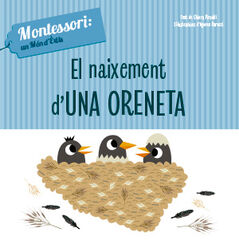 El naixement d'una oreneta El naixement d'una oreneta