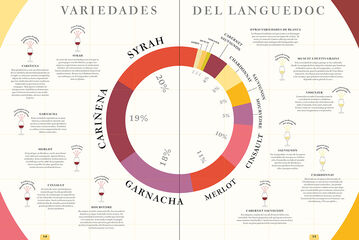 Ruta de los vinos franceses: Atlas de los viñedos de Francia