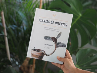 Plantas de interior. Guía indispensable para lograr unas plantas felices y sanas