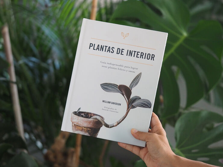 Plantas de interior. Guía indispensable para lograr unas plantas felices y sanas