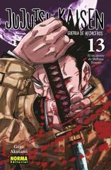 Jujutsu kaisen 13