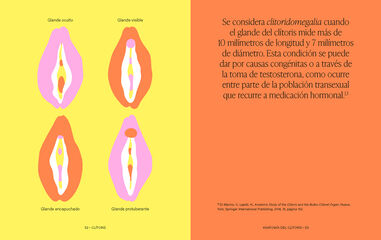 Clítoris. Secretos más allá de la anatomía