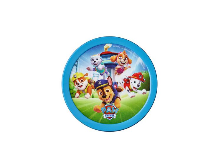 Fruit Box Campus Paw Patrol