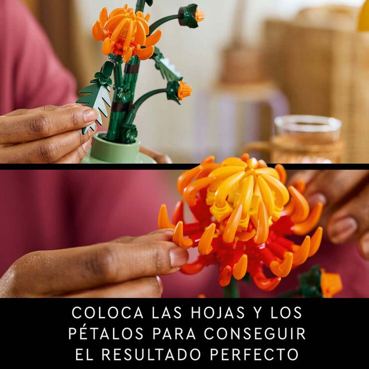 LEGO® Botanicals Crisantemo 10368