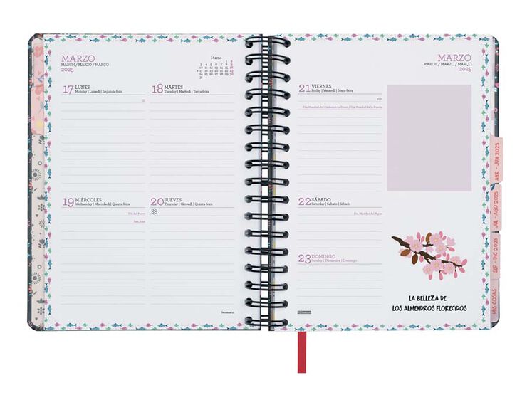 Agenda Finocam 16M Vitae 1/4 sem/vista cas 24-25 negro