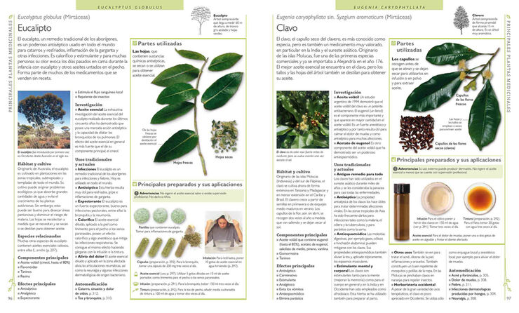 Enciclopedia de plantas medicinales