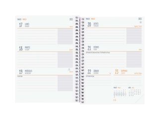 Agenda escolar Finocam Secundaria 1/8 sem/vista cas 24-25 Exotic