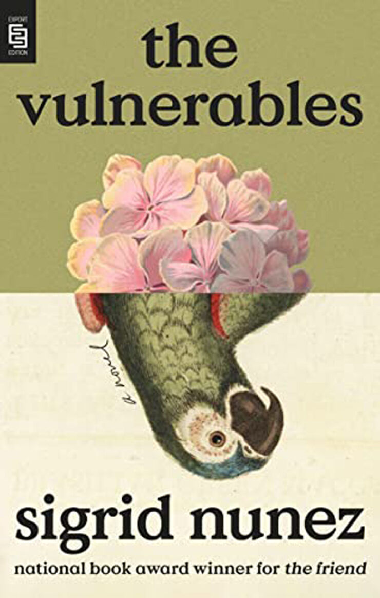 The vulnerables