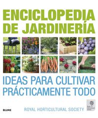bricolaje y jardinería > bricolaje > madera > tabla imagen - Diccionario  Visual