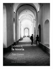 La belleza de la teor&iacute;a