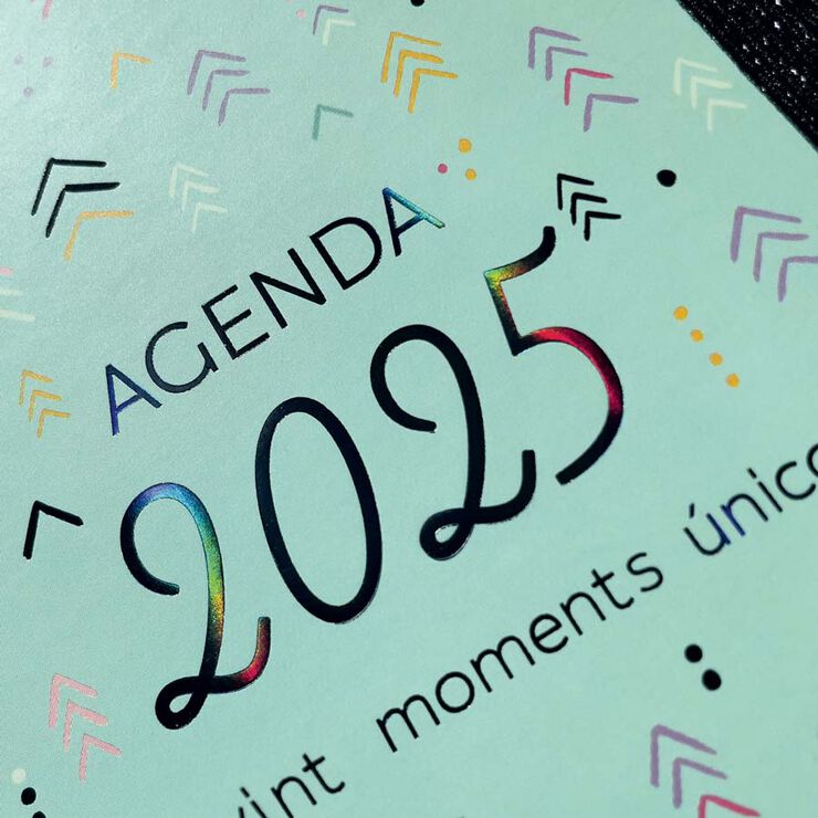 Agenda Finocam 16M Vitae 1/4 setm/vista cat 24-25 verd