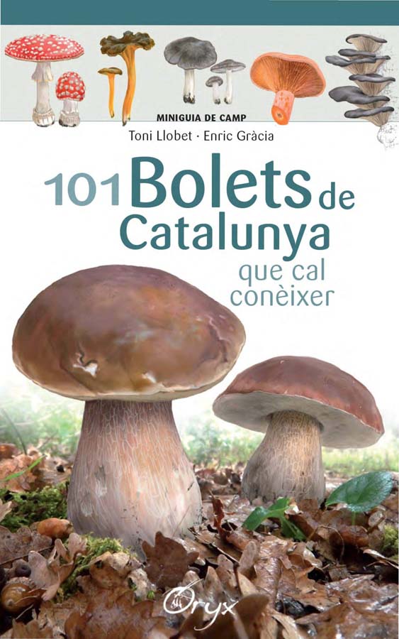 101 bolets de Catalunya que cal coneixer